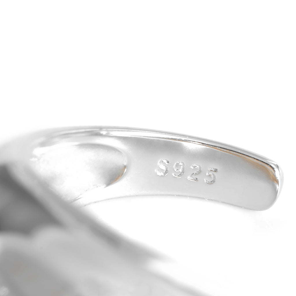 Light Curve Dome Ring in Silver Product photo